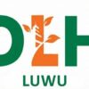 DLH Luwu